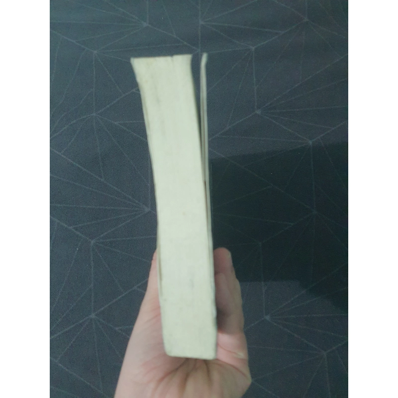 "Trảm long" tập 2 - Hồng Trần 472181