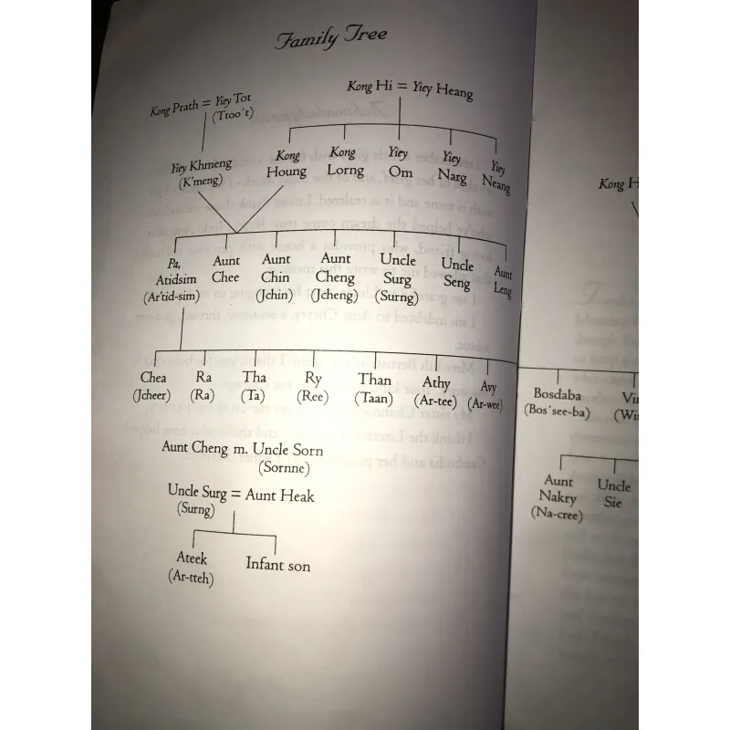 When broken glass floats: growing up under the Khmer rouge- Chanrithy Him 1002946