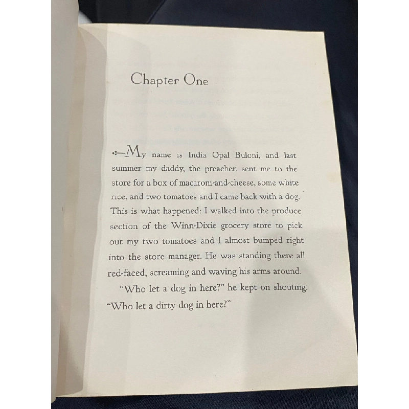 Because of Winn-Dixie - Kate DiCamillo 498632