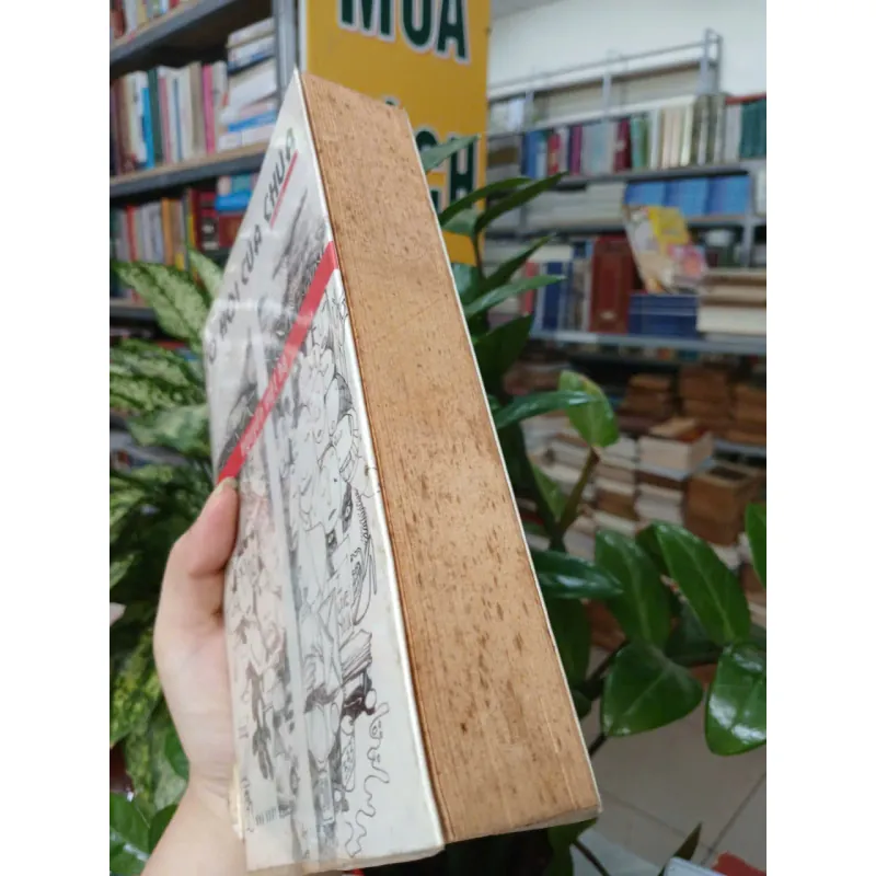 CƠ HỘI CỦA CHÚA - NGUYỄN VIỆT HÀ 1038269