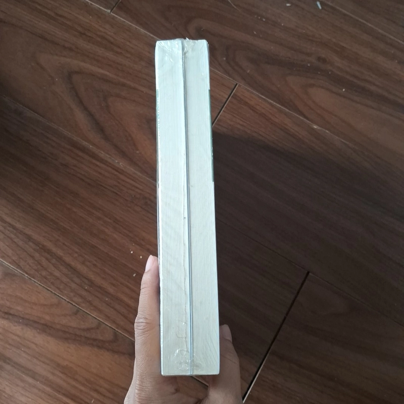 Nơi này là thanh xuân 509954