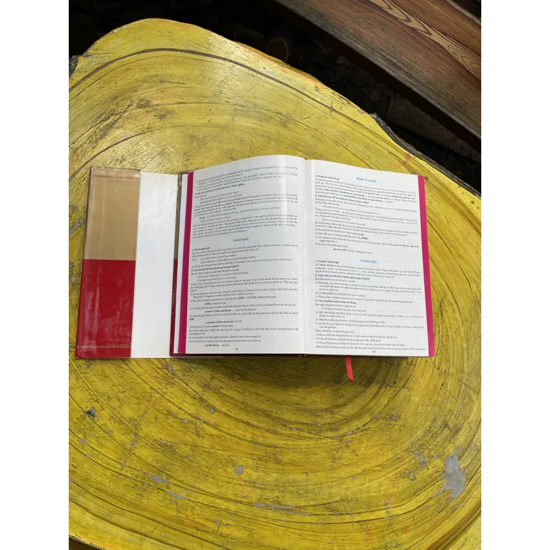 TỪ ĐIỂN ANH - VIỆT - VIỆT ANH- BAN BIÊN SOẠN CHUYÊN TỪ ĐIỂN NEW ERA 603684