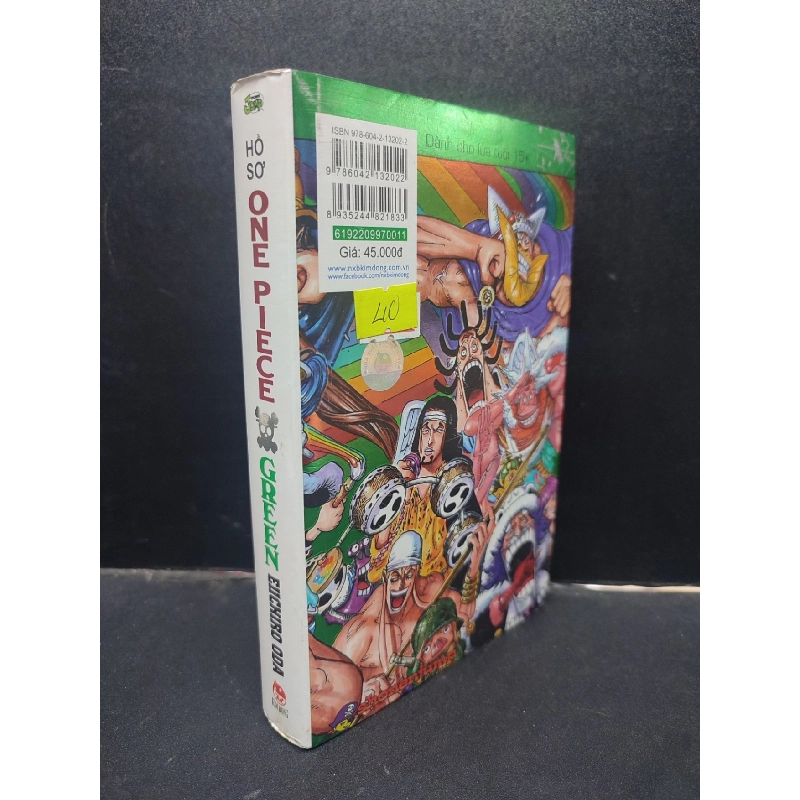 Hồ sơ One Piece Green - Eiichiro Oda 2019 mới 70% ố vàng HCM0305 truyện tranh 914172