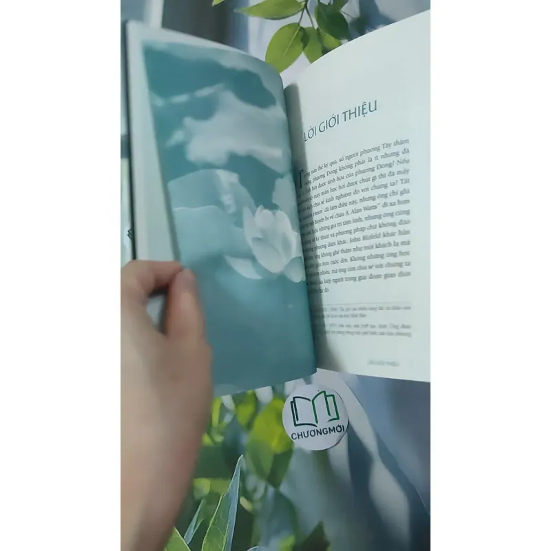 Ngọc Sáng Trong Hoa Sen - Nguyên Phong 961181