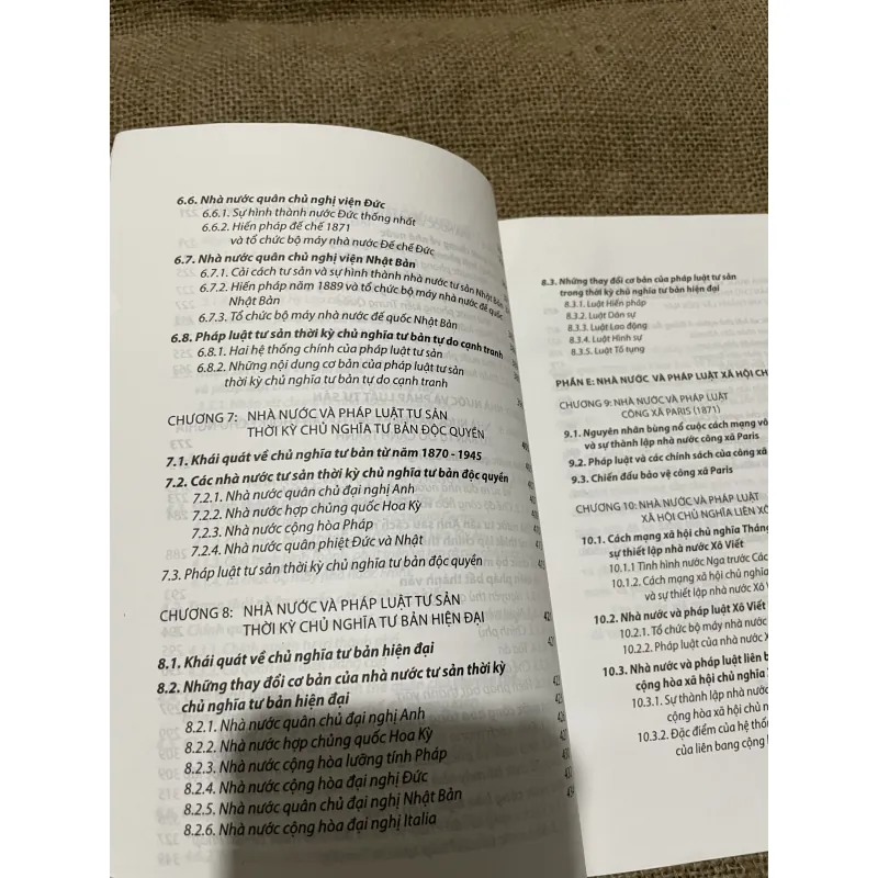 Giáo trình LỊCH SỬ NHÀ NƯỚC VÀ PHÁP LUẬT THẾ GIỚI 797706