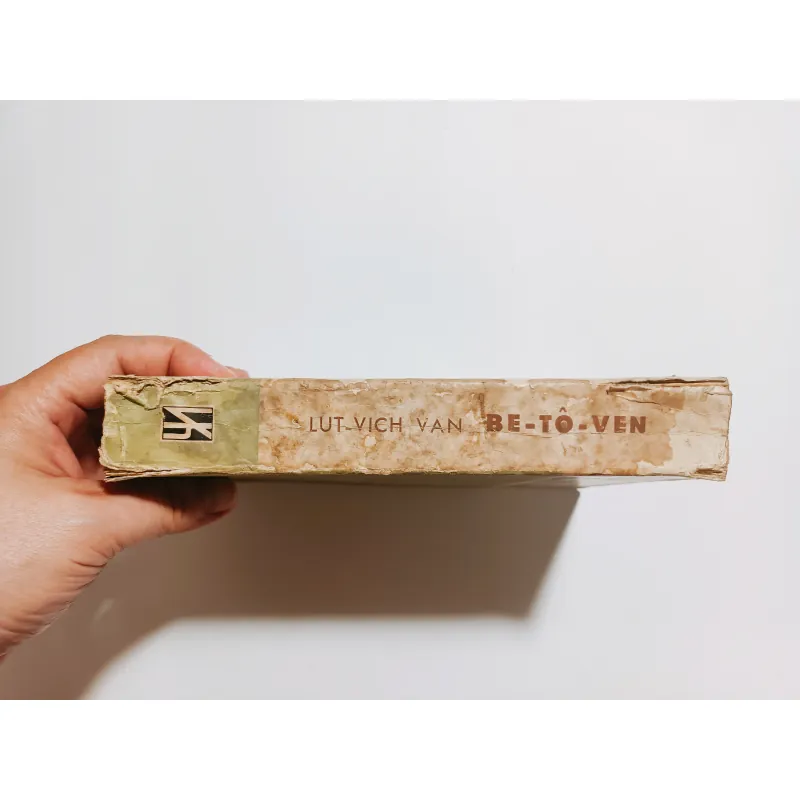 Lut - Vich Van Be - Tô - Ven ( Ludwig van Beethoven ) 752078