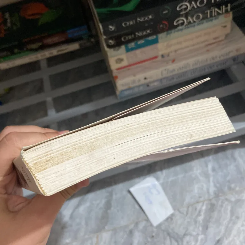 Thương Ly - Tuyết Linh Chi 957857