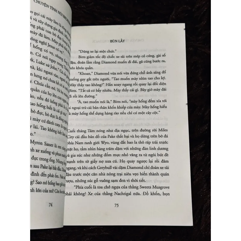 Chuyện tình núi BrokeBack (bản in đầu) 735266