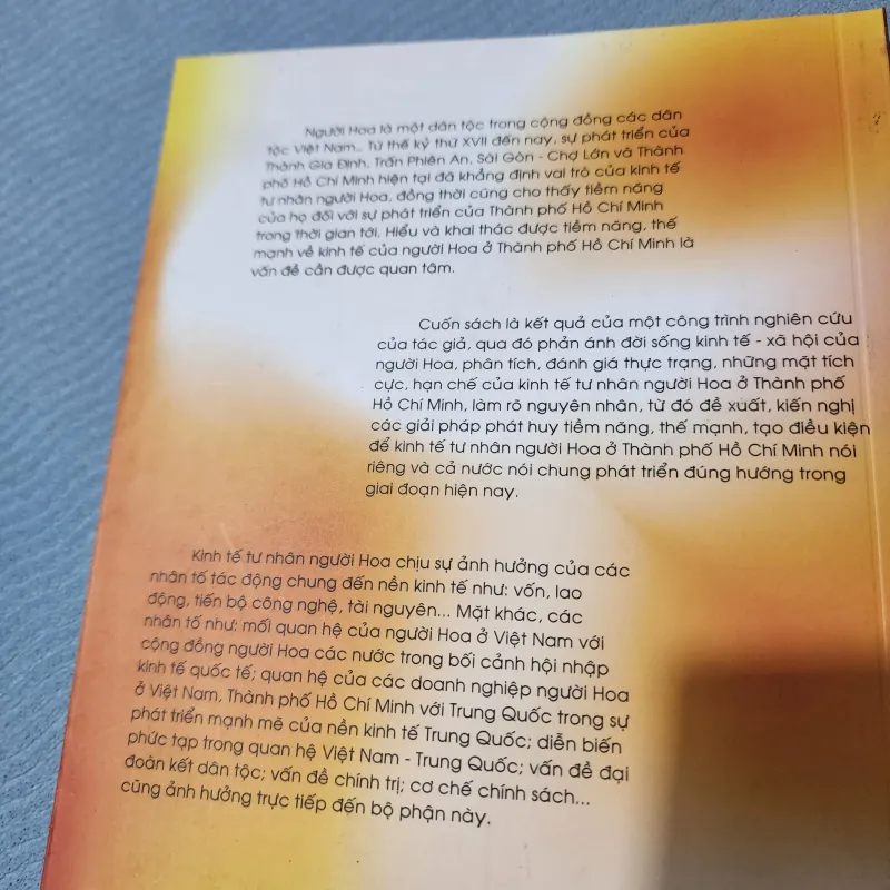 Đời sống kinh tế người hoa ở tphcm | nguyễn thị anh vũ  930862