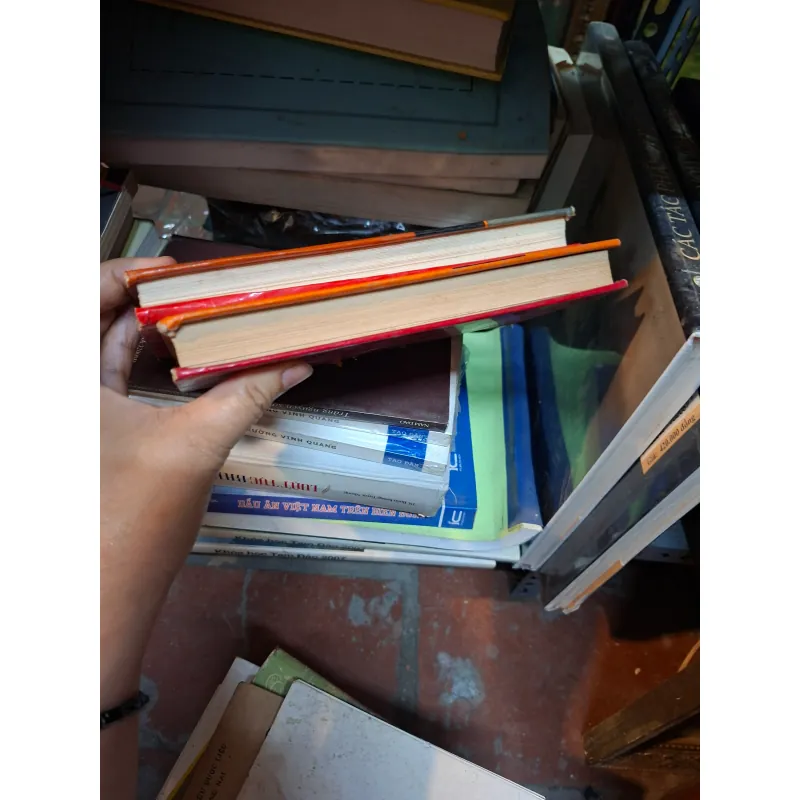 Đất vỡ hoang. 1001717