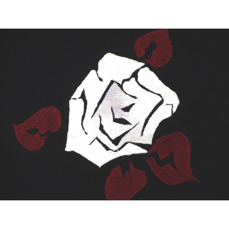 Áo khoác / Áo choàng đường đi 2 món - Hàng hiệu Authentic 875840