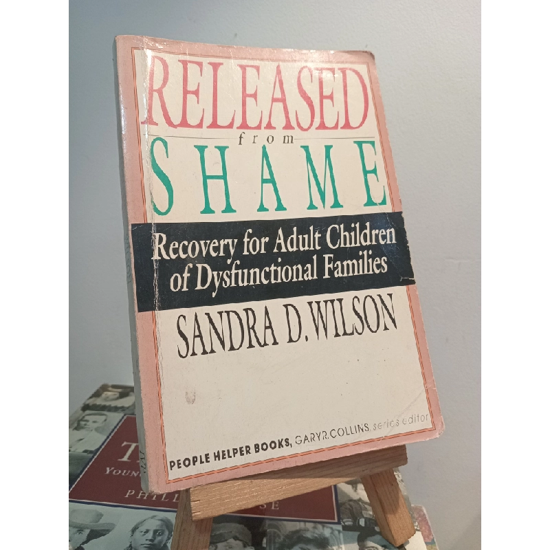 Released from Shame - Sandra D. Wilson 453086