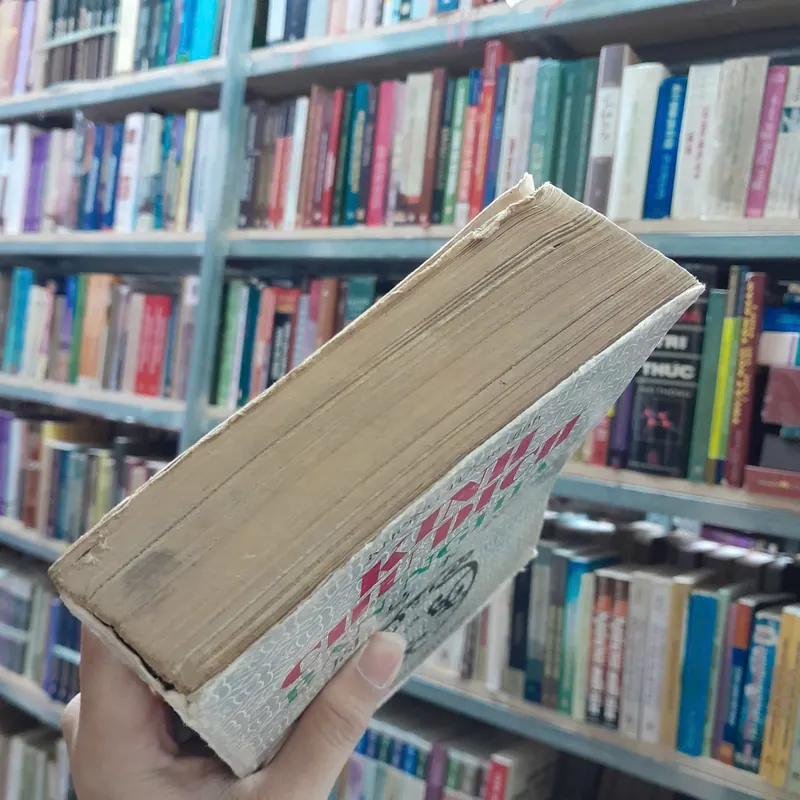 KINH CHU DỊCH BẢN NGHĨA - NGUYỄN DUY TINH DỊCH 1063998