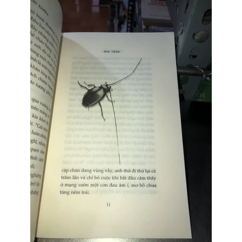 Hoá thân - Franz Kafka 995398