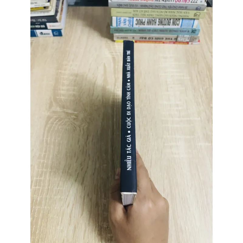 CUỘC ĐI DẠO TÌNH CẢM - tập truyện của nhiều tác giả  1024337