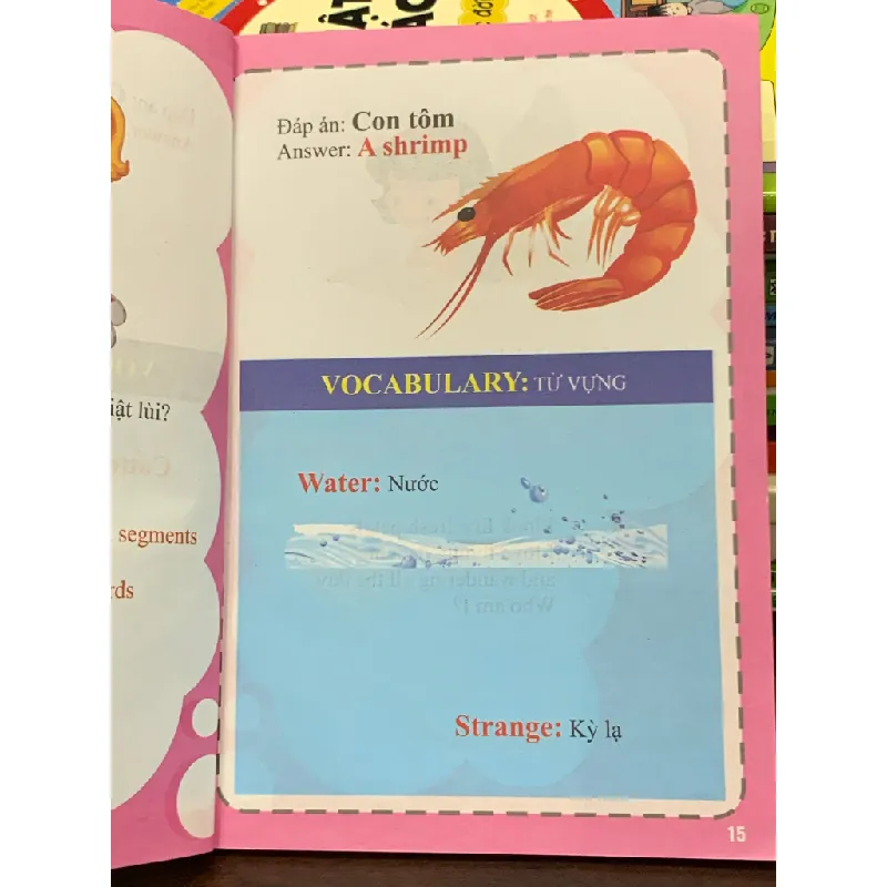 Đố vui song ngữ Việt – Anh – Bích Ngọc (sưu tầm, biên soạn) 563680