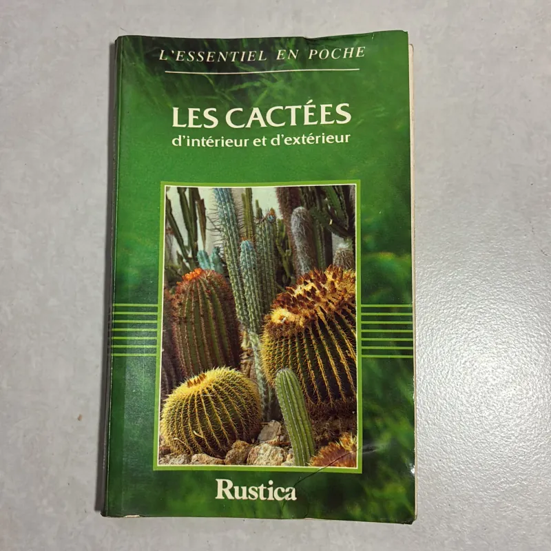 Les Cactees (Xương rồng - trong nhà và ngoài trời) 778695