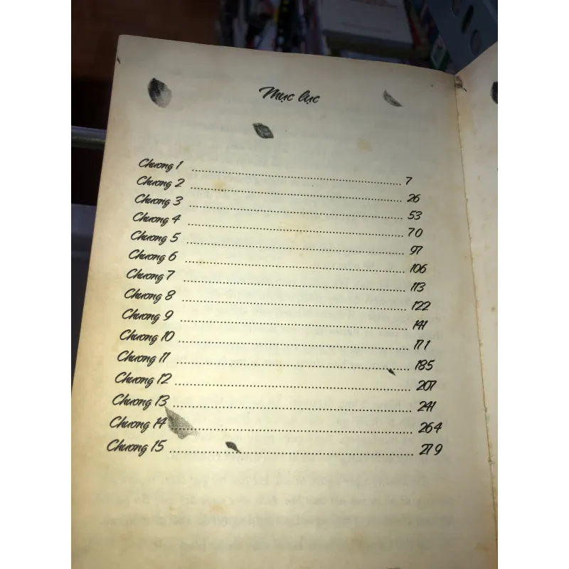 Giá lại có một người như em - Lâm Phỉ Nhiên 995394