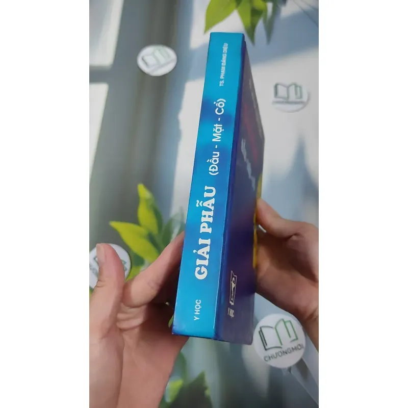 [MIỄN PHÍ BỌC SÁCH] Giải Phẫu (Đầu - Mặt - Cổ) - TS. Phạm Đăng Diệu 990450