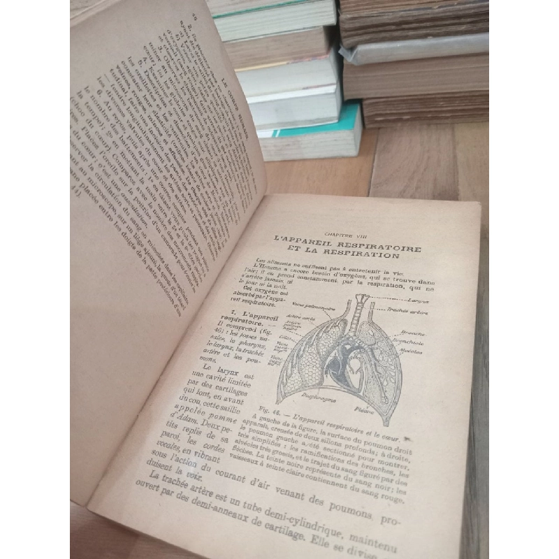 Cours de sciences: Classe de 6e - V. Boulet, A. Obré, G. Lazerges 960614