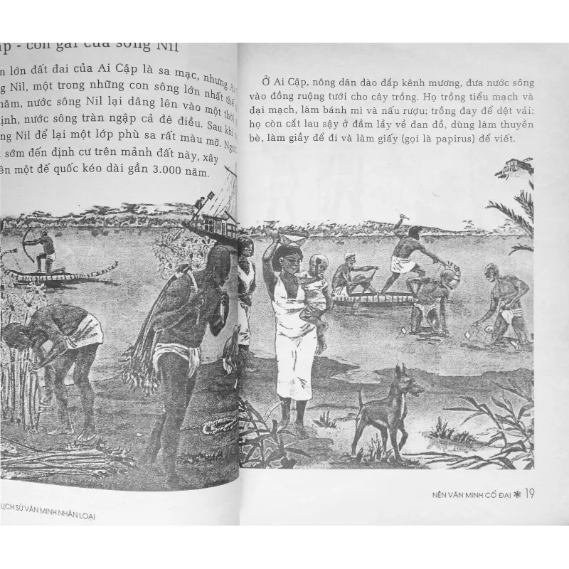 Lịch sử văn minh nhân loại 563534