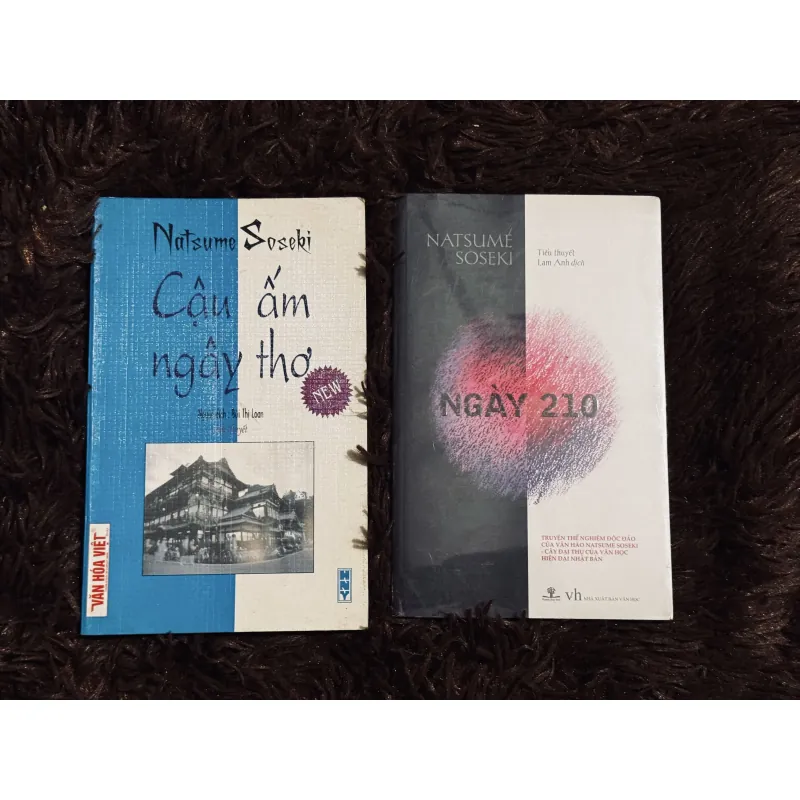 Combo Natsume Soseki 1031646