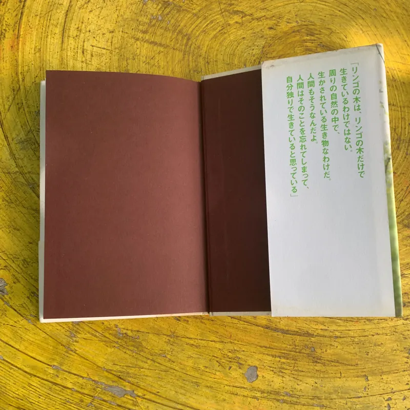 QUẢ TÁO THẦN KỲ- TAKUJI ISHIKAWA- NGUYÊN BẢN TIẾNG NHẬT 737811