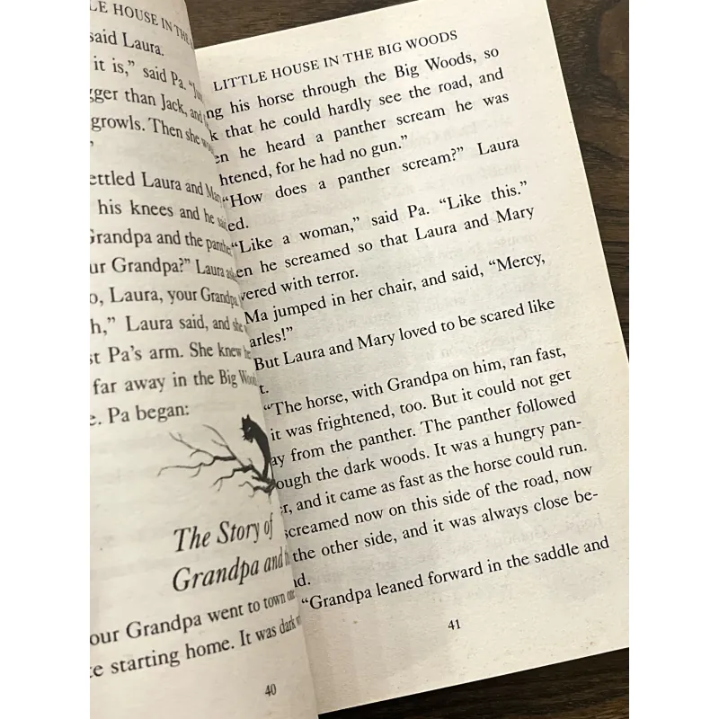 Little House in the Big Woods 972828