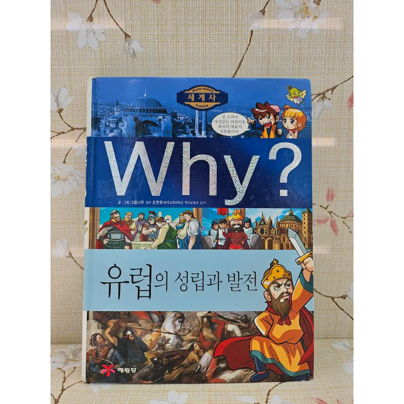 유럽의 성립과 발전 (Sự hình thành và phát triển của Châu Âu) 993467