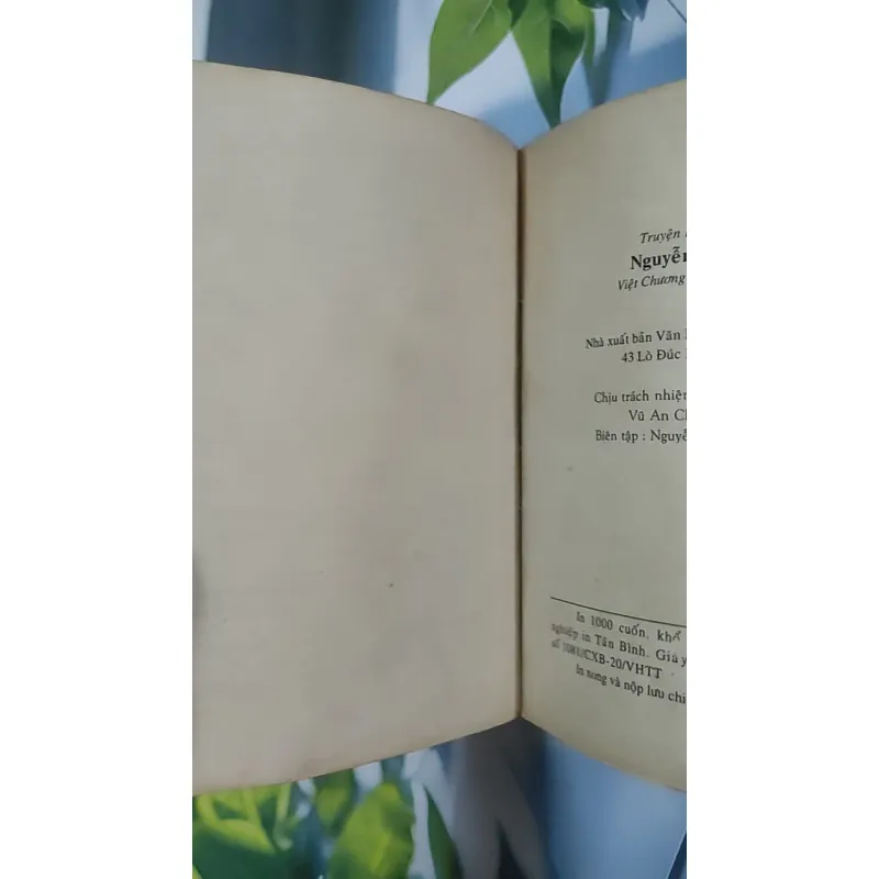 Truyện Kiều - Việt Chương chú giải - Nguyễn Du 798520