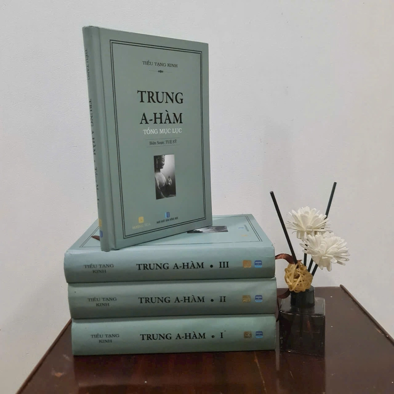 Tiểu Tạng Kinh - Trung A Hàm - Tuệ Sỹ 338580