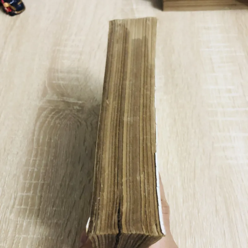 LAO ĐỘNG BIỂN CẢ – Victor Hugo 960020