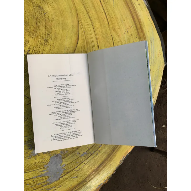 BỒ CÂU CHUNG MÁI VÒM - DƯƠNG THUỴ 745823