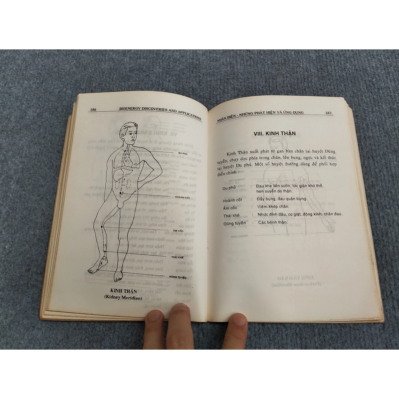 NHÂN DIỆN - NHỮNG PHÁT HIỆN VÀ ỨNG DỤNG 504710