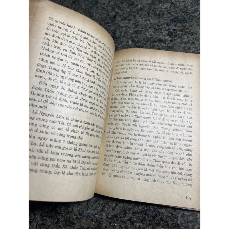 Đình nam bộ tín ngưỡng và nghi lễ Huỳnh Ngọc Trảng, Trương Ngọc Tường 706073