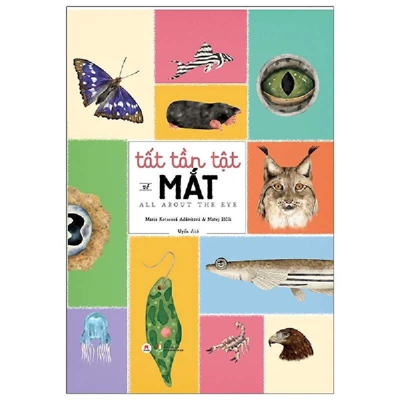 Tất Tần Tật Về Mắt - All About The Eye (Bìa Cứng) - Marie Kotasová Adámková, Matej Ilčík ASB.PO Oreka-Blogmeo120125 370713
