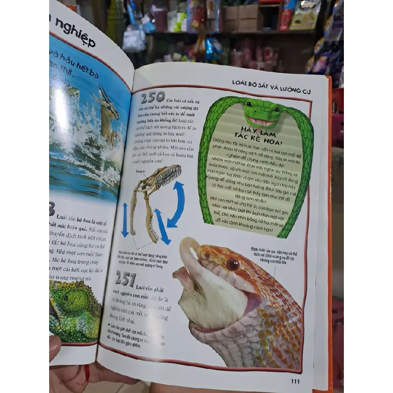 500 dữ kiện khoa học về động vật - 2013 mới 90% - KHOA HỌC ĐỜI SỐNG - HCM0111 629685