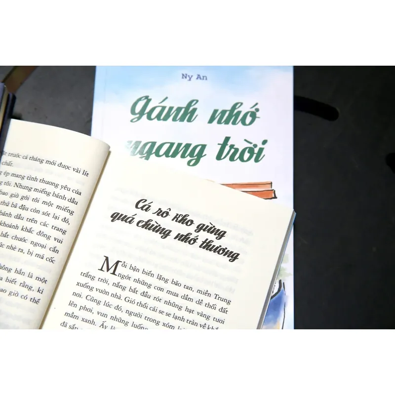 🌸 GÁNH NHỚ NGANG TRỜI – tác phẩm đầu tay của tác giả Ny An 🌸 601978