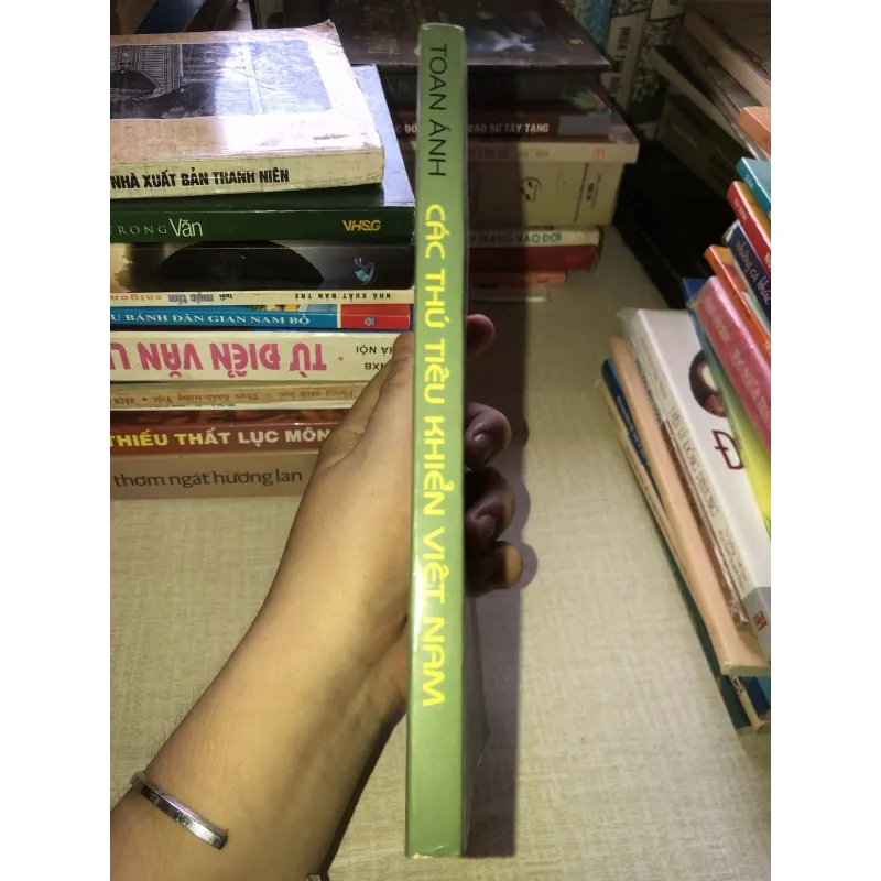 Các Thú Tiêu Khiển Việt Nam - Nhà Xuất Bản Thanh Niên 935246