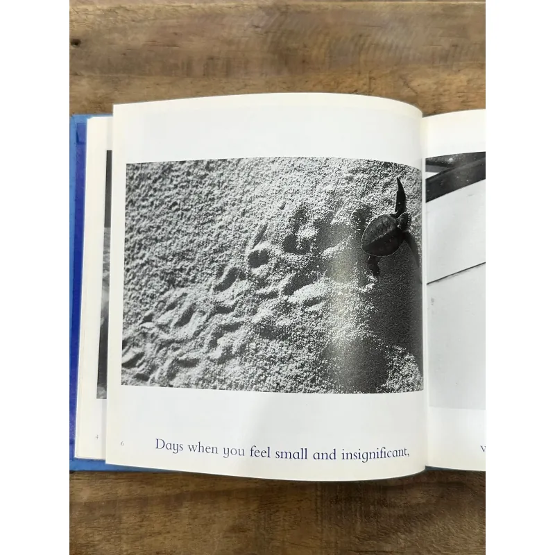 The Blue Day Book - Bradley Trevor Greive 728434