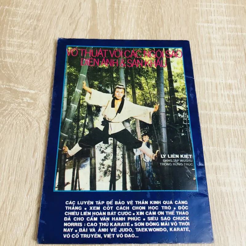 SỔ TAY VÕ THUẬT - VÕ THUẬT VỚI CÁC NGÔI SAO ĐIỆN ẢNH & SÂN KHẤU 544400