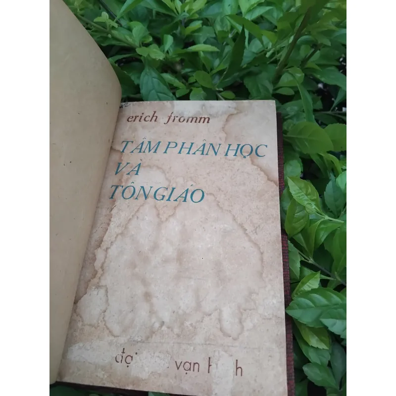 Tâm phân học và tôn giáo của Erich From 974325