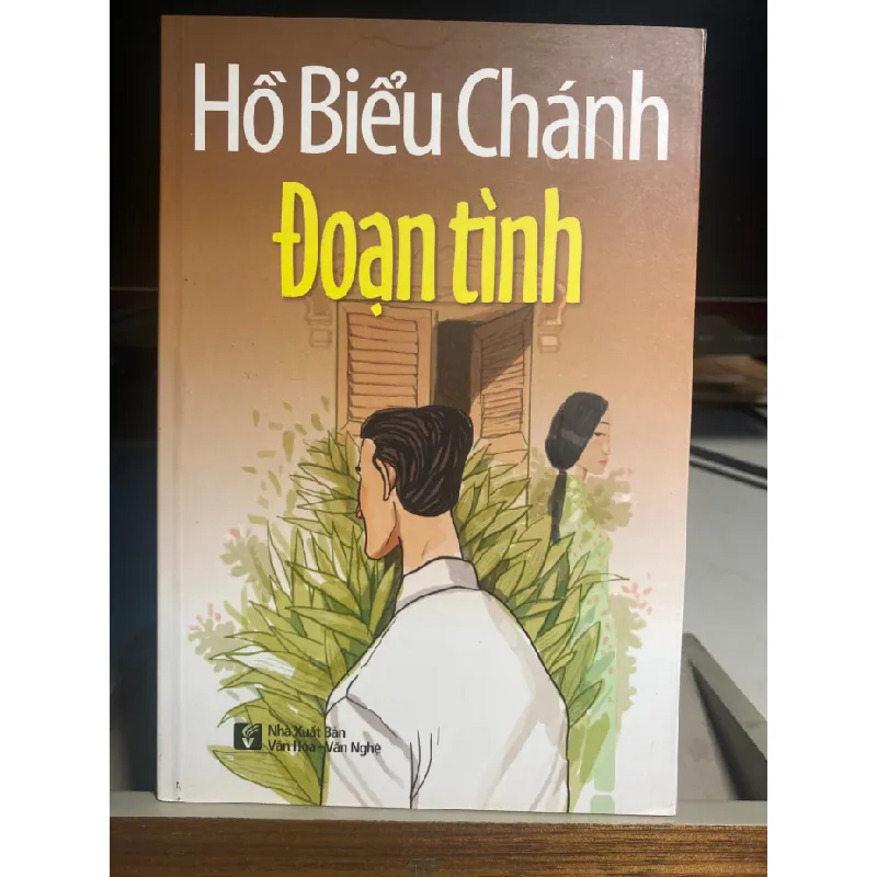 Đoạn Tình - Hồ Biểu Chánh- NXB Văn Hoá Văn Nghệ 2017- Sách lưu kho mới 95% STB1255 Blogmeo 27525 587858