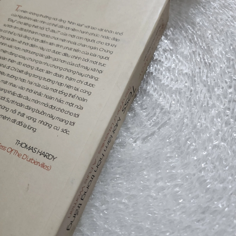 Tess một tâm hồn trong trắng | Thomas Hardy 506077