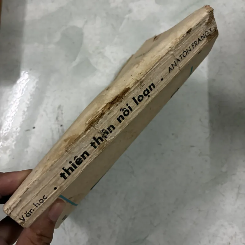 Thiên thần nổi loạn 1025150