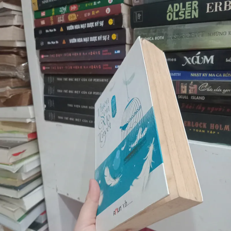 Thiên Sơn Mộ Tuyết 📚 998960