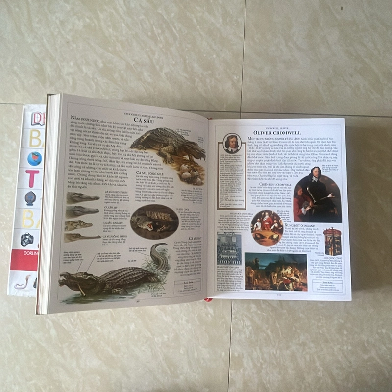 Bách khoa tri thức bằng hình 463683