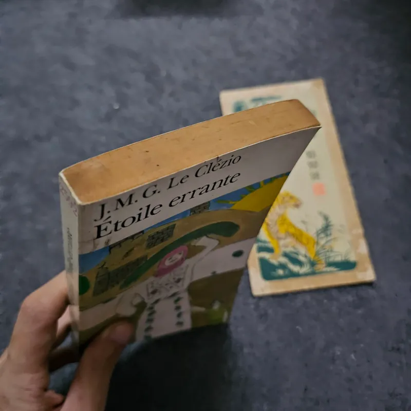 Étoile errante - Le Clezio 740742