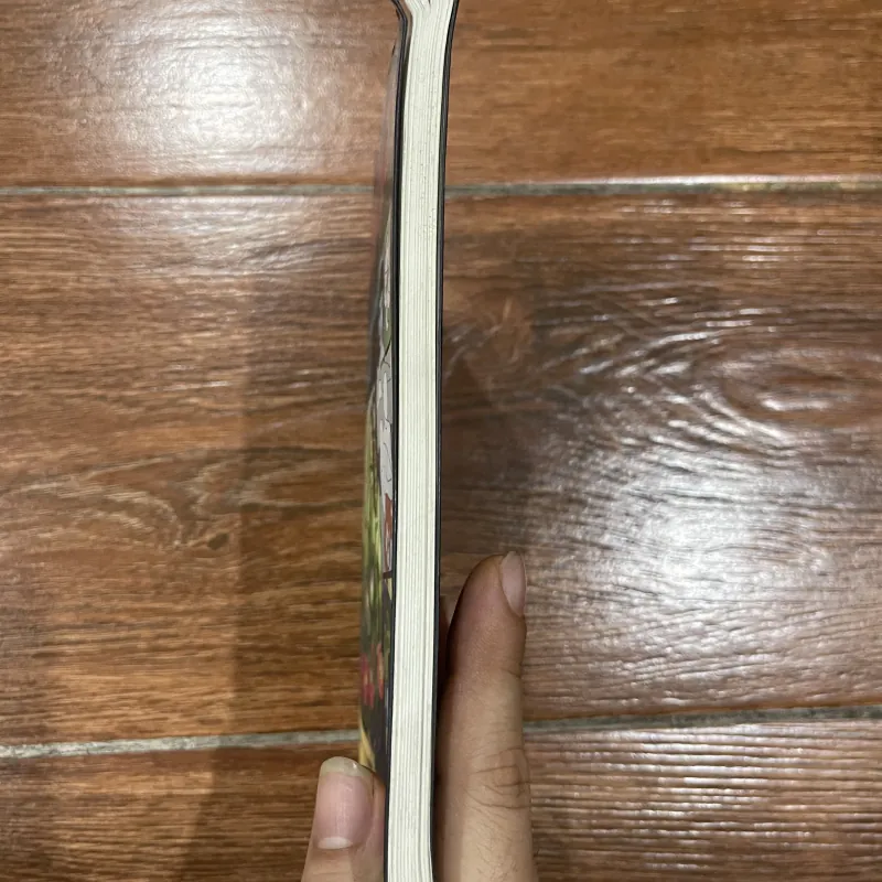 Nghệ thuật là gì ? - Làm thế nào để hiểu tranh và ảnh ? (7) 1004693