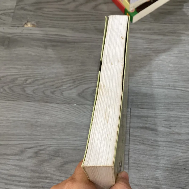 Du khách bất đắc dĩ - Anne Tyler 1034917